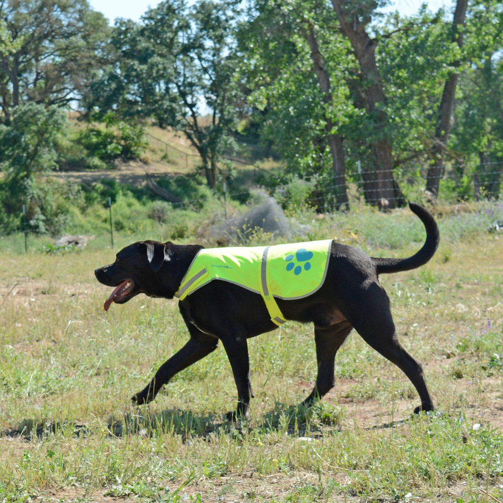 SafetyPUP URBAN Reflective Dog Safety Vest XL Neon Yellow – photo 4 of 6