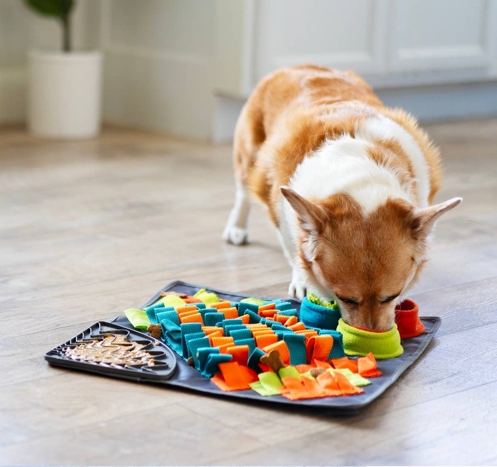 Messy Mutts Square Forage Snuffle Mat – 16 Inch with Suction – alternate view 12