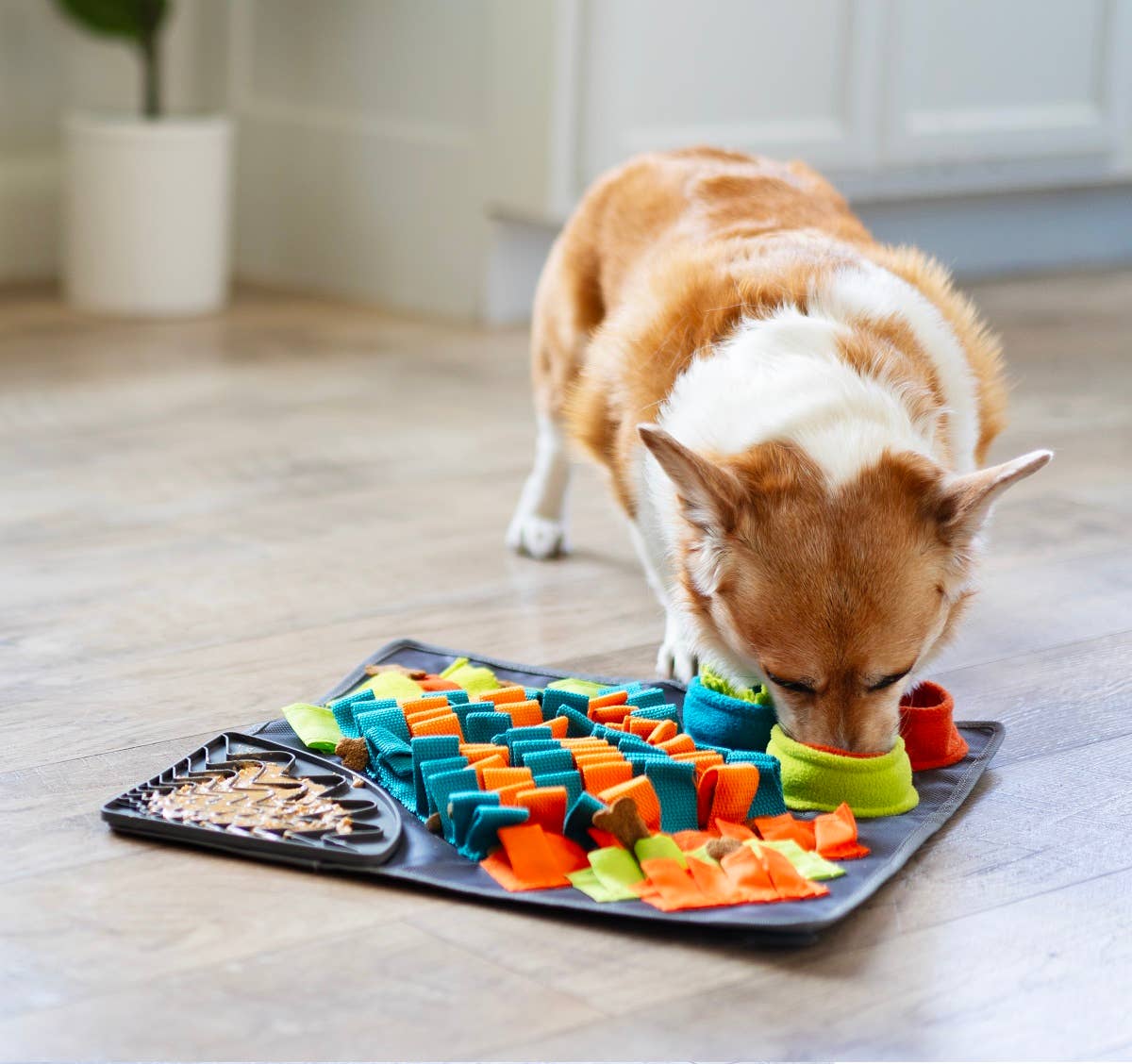 Messy Mutts Square Forage Snuffle Mat – 16 Inch with Suction – alternate view 12