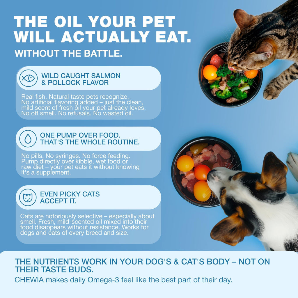 Omega 3 fish oil supplement for dogs and cats, dosage guide