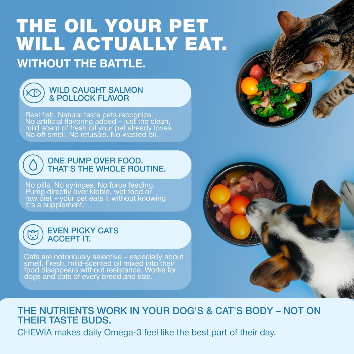 Omega 3 fish oil supplement for dogs and cats, dosage guide