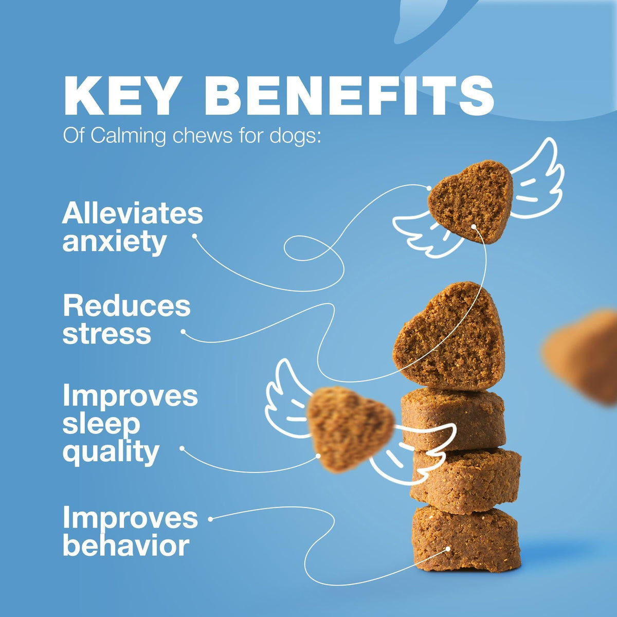 CHEWIA Calming Chews for Dogs Melatonin Valerian Root – photo 3 of 9