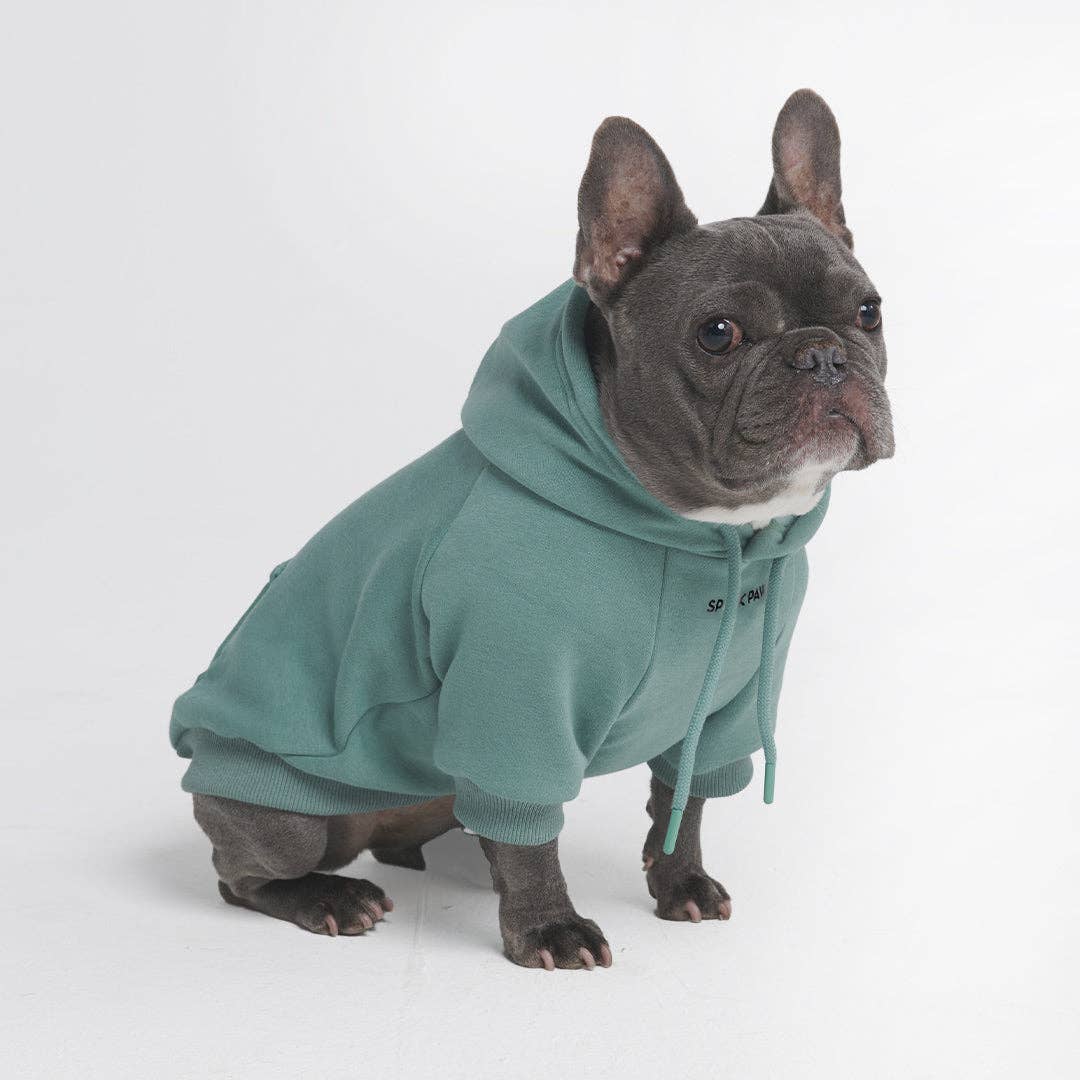 Essential Dog Hoodie - Teal – alternate view 8