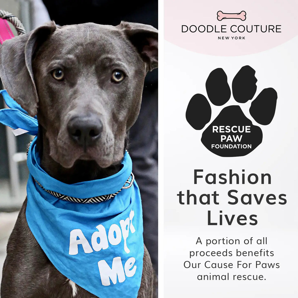 Runway Dog Harness – City Denim – alternate view 6