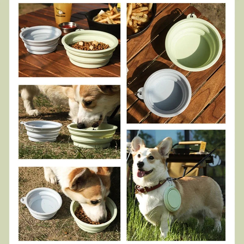 Folding Silicone Travel Bowl for Dogs & Cats – 350ml or 650ml – alternate view 2
