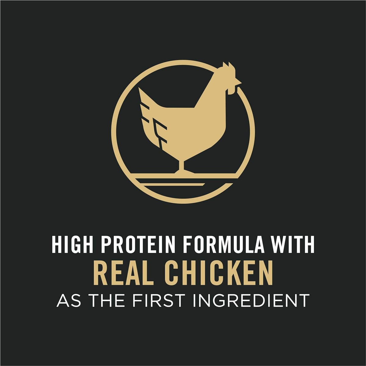 Pro Plan Adult Complete Essentials Shredded Blend Chicken & Rice Dry Dog Food – alternate view 3