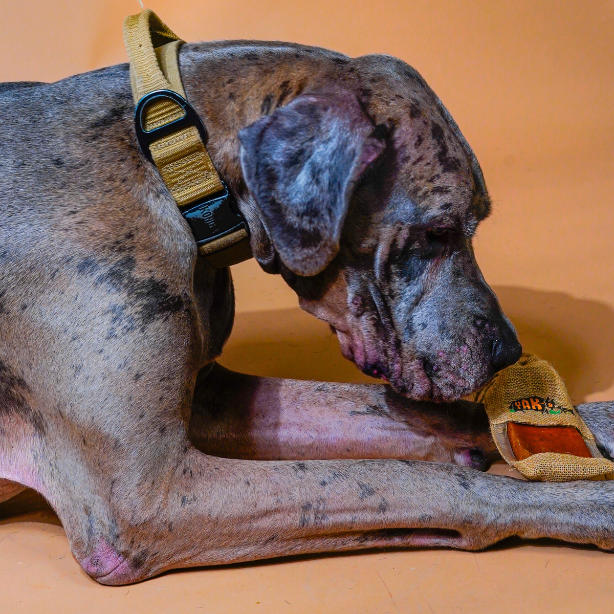 100% Yak Milk Chews for Dogs – alternate view 2