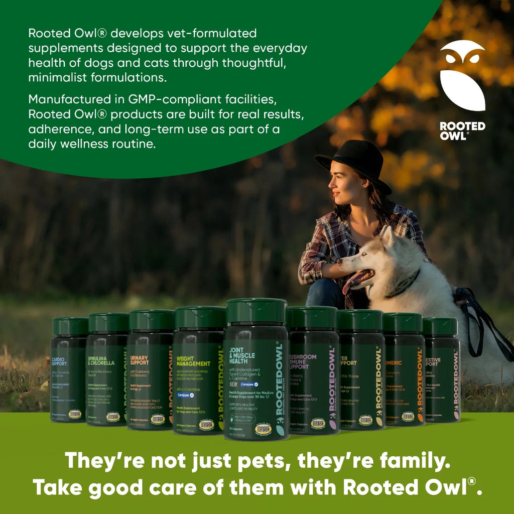 Rooted Owl Natural Immunity mushroom supplement for dogs and cats – photo 6 of 10