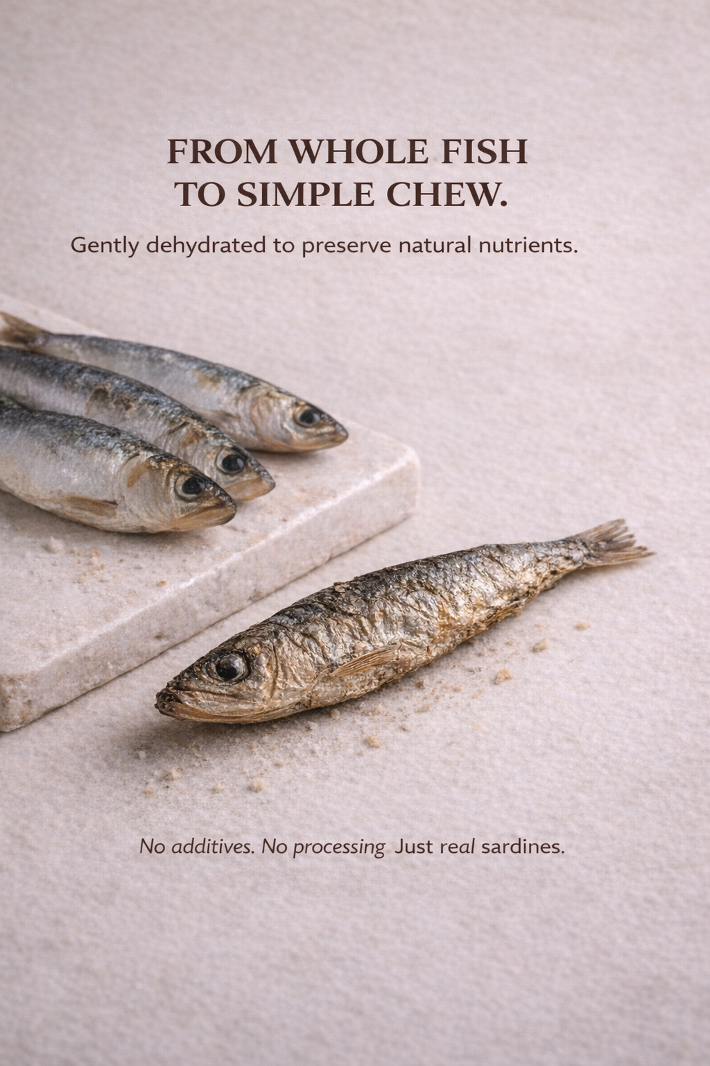 Sardines Omega-Rich Treat for Dogs & Cats – alternate view 6