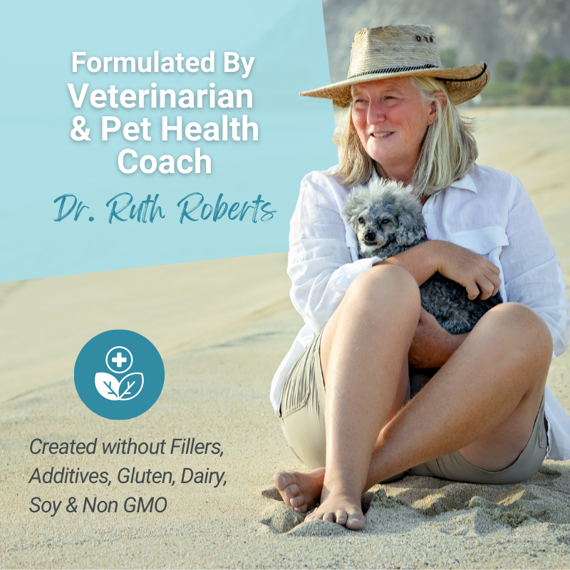 Hista Paws with Quercetin Allergy Support by Dr. Ruth Roberts – photo 9 of 14