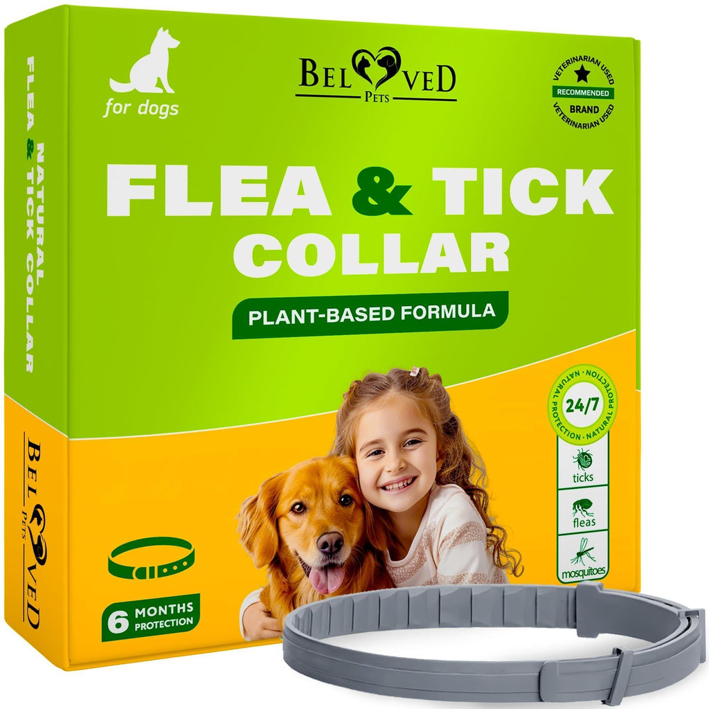 Flea and Tick Collar for Dogs 6-Month Essential Oil Repellent – photo 1 of 8