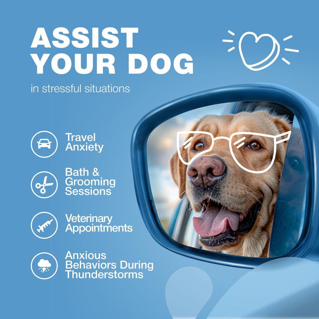 CHEWIA Calming Chews for Dogs Melatonin Valerian Root – photo 4 of 9