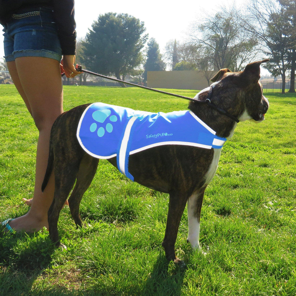 SafetyPUP Reflective Dog Vest L Blue – photo 3 of 4