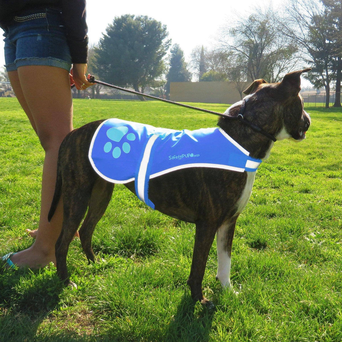 SafetyPUP Reflective Dog Vest L Blue – photo 3 of 4