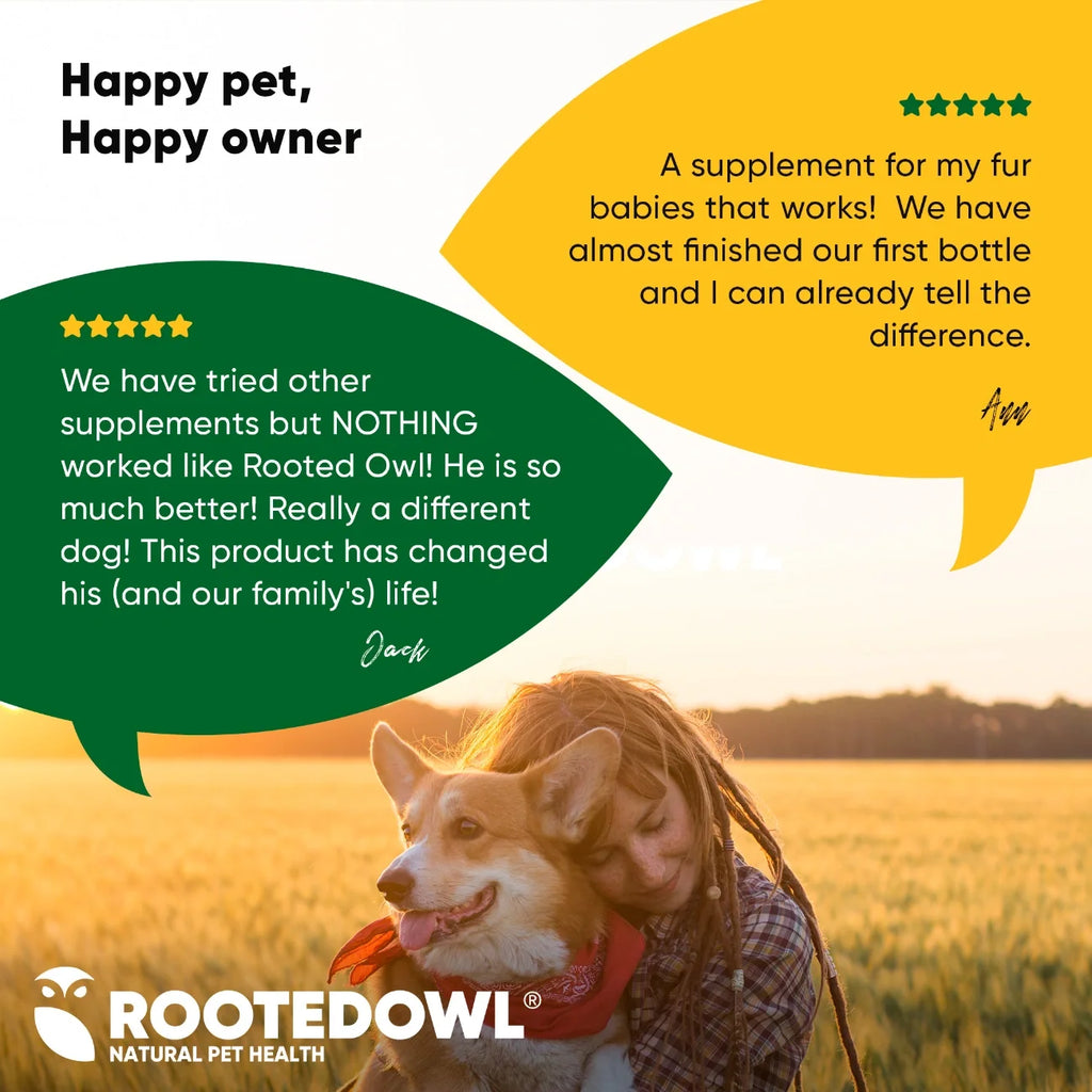 Rooted Owl Joint & Muscle Health capsules with UC-II collagen for small dogs under 30 lb – photo 7 of 9