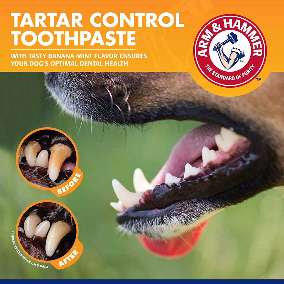 for Pets Tartar Control Kit for dogs, back view