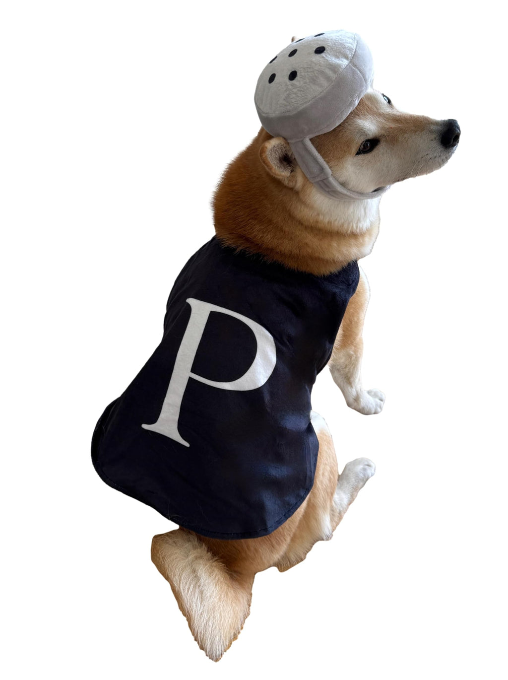 CheetahBoo Pepper Shaker Dog Costume 3D Headpiece & Cape, XL – photo 1 of 3
