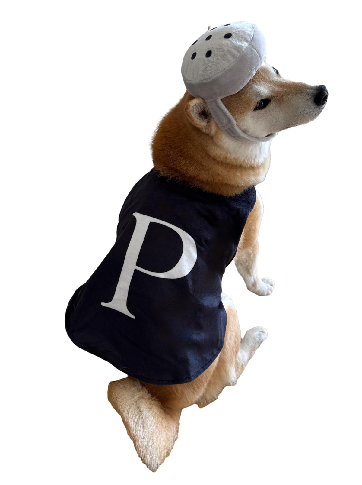 CheetahBoo Pepper Shaker Dog Costume 3D Headpiece & Cape, XL – photo 1 of 3