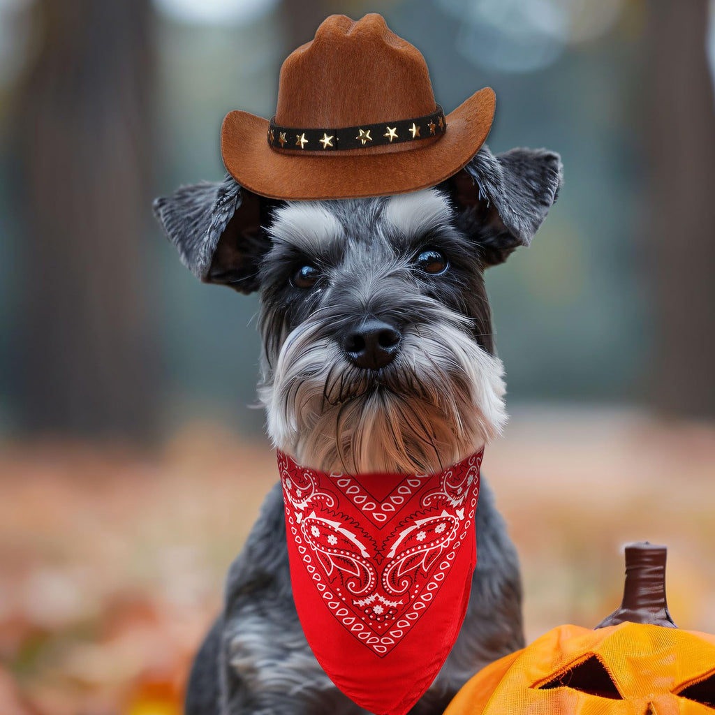 PEUTIER Cowboy Dog Costume Set Hat & Bandana, Brown/Red, Small – photo 5 of 7