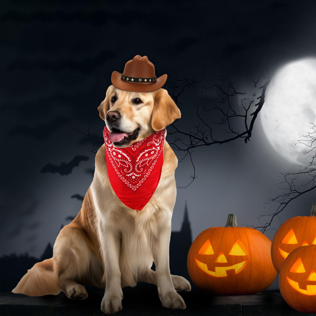 PEUTIER Cowboy Dog Costume Set Hat & Bandana, Brown/Red, Small – photo 7 of 7