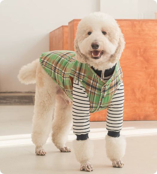 Thermal Dog Clothing for Large Dogs Green Navy – photo 5 of 6