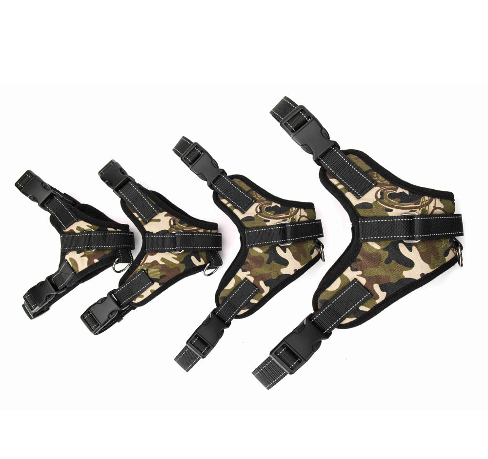 Dog Collar – Medium & Large Dogs – alternate view 2