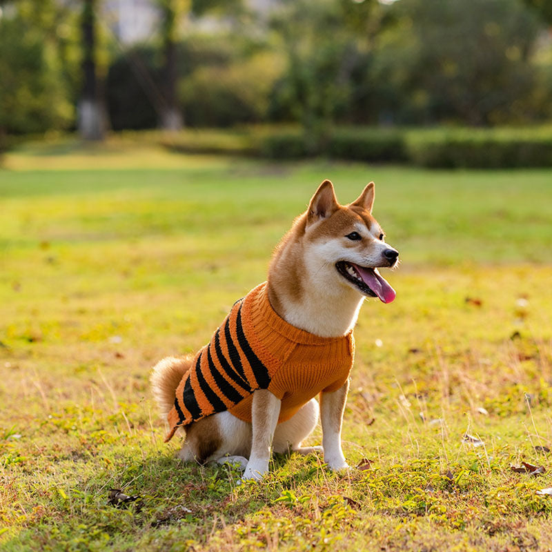 Halloween Dog Sweater – Warm Knit Costume Sweater – alternate view 2
