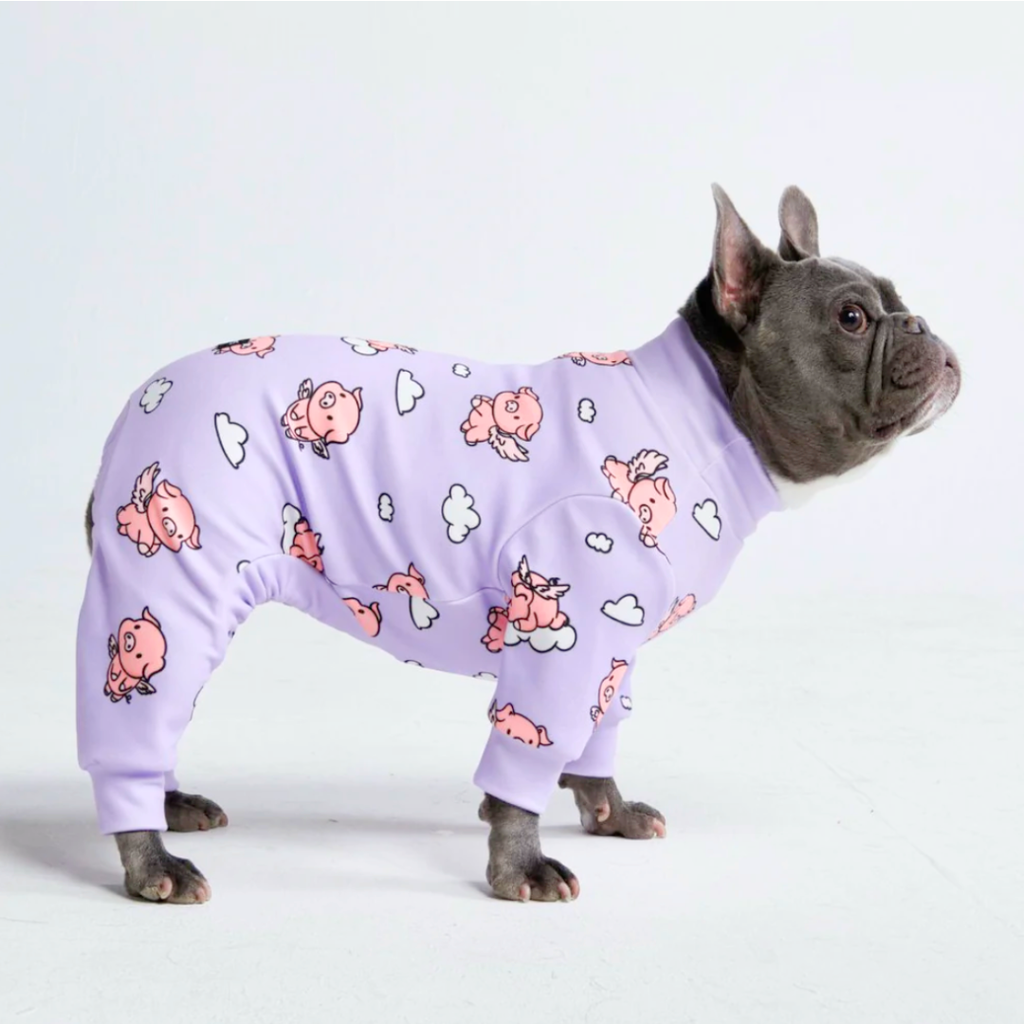 When Pigs Fly Dog Pajama – front view