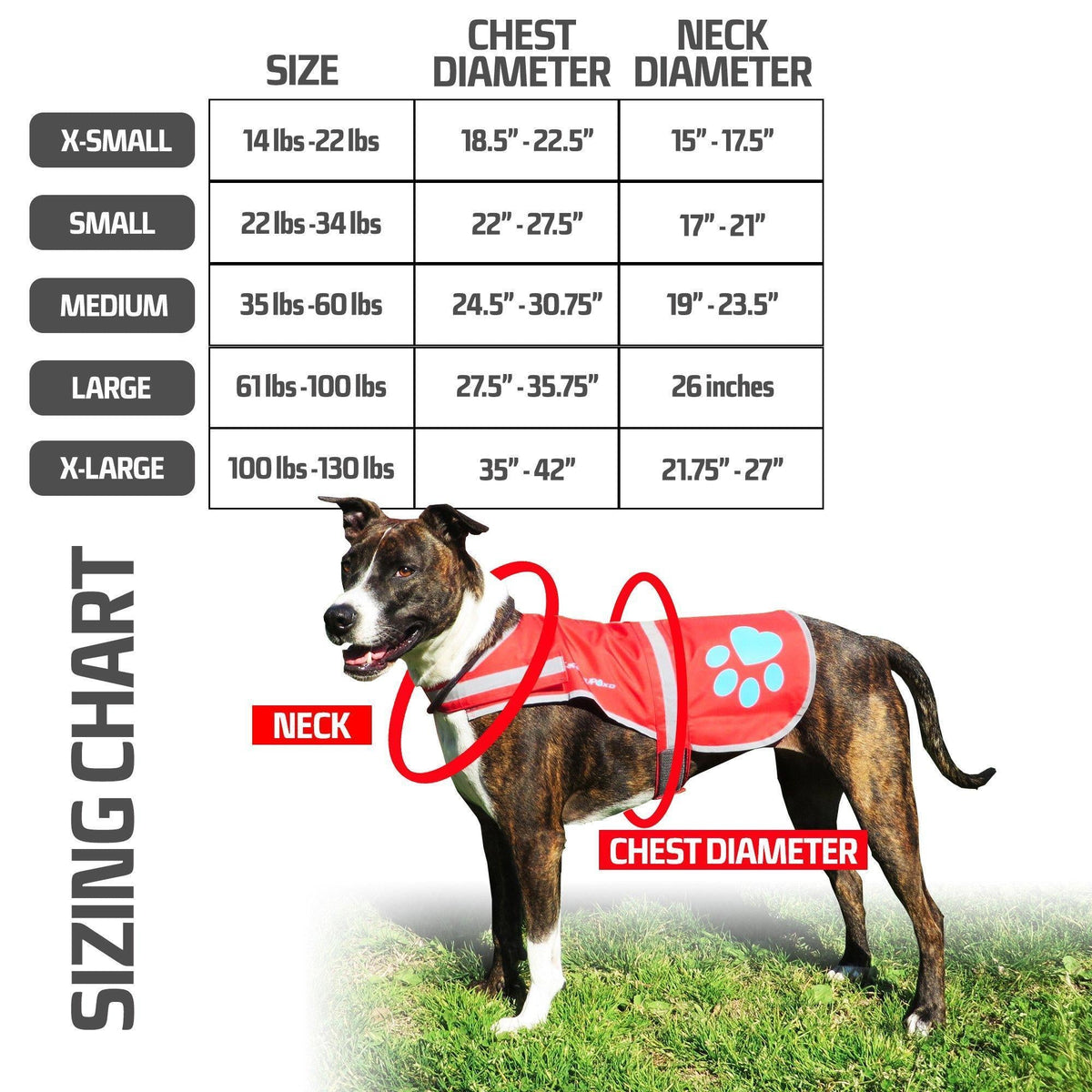 SafetyPUP URBAN Reflective Dog Vest XS Blue – photo 2 of 6