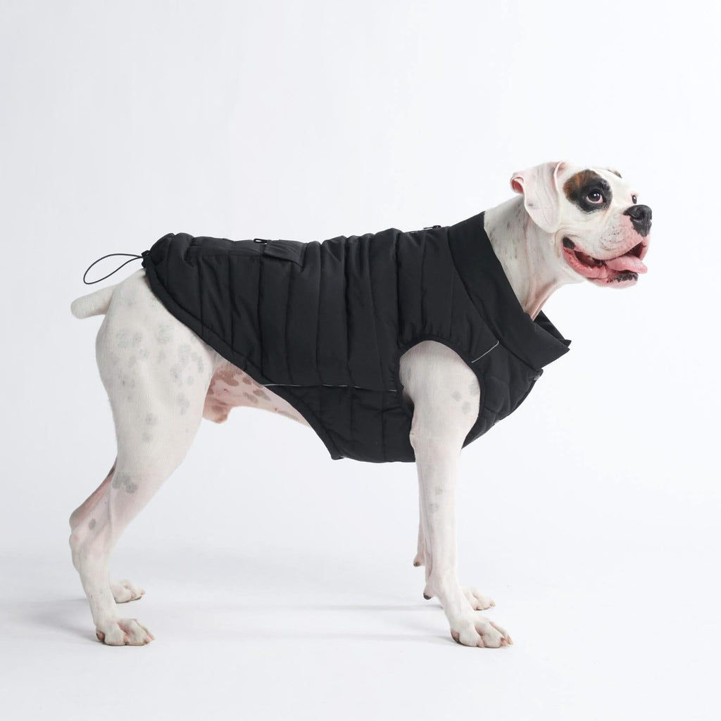 WarmShield Water-Resistant Dog Jacket – Black – front view