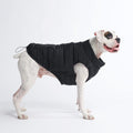 WarmShield Water-Resistant Dog Jacket – Black – front view