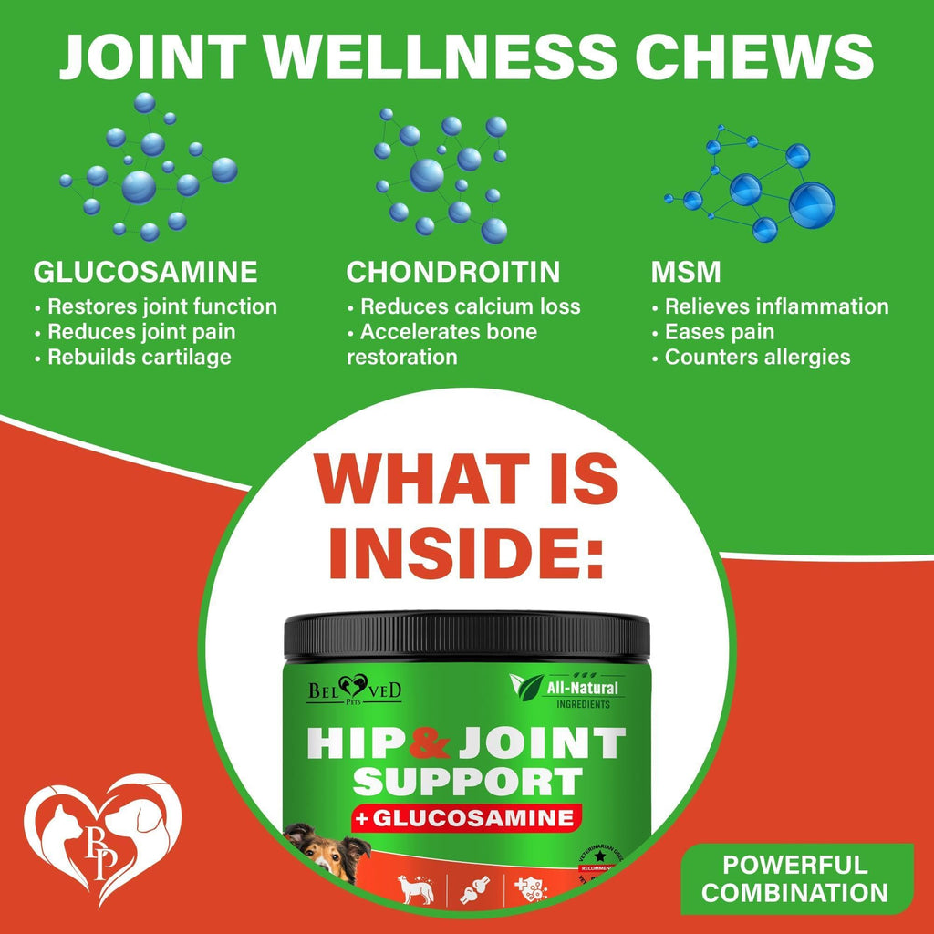 Dog Hip and Joint Chews Glucosamine Chondroitin MSM Turmeric – photo 4 of 8