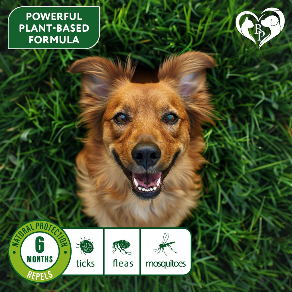 Flea and Tick Collar for Dogs 6-Month Essential Oil Repellent – photo 3 of 8