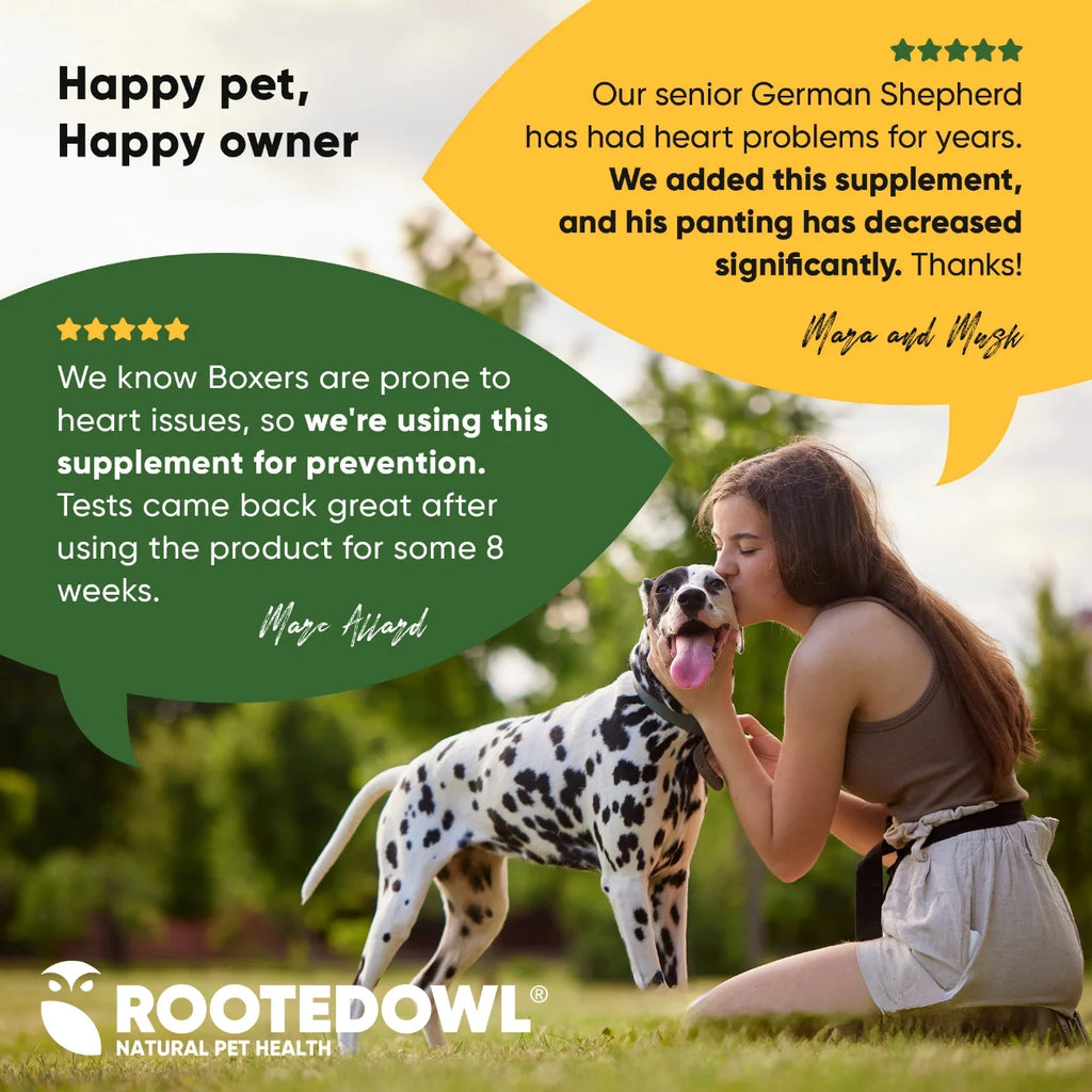 Rooted Owl Cardio Support supplement for dogs – photo 7 of 9