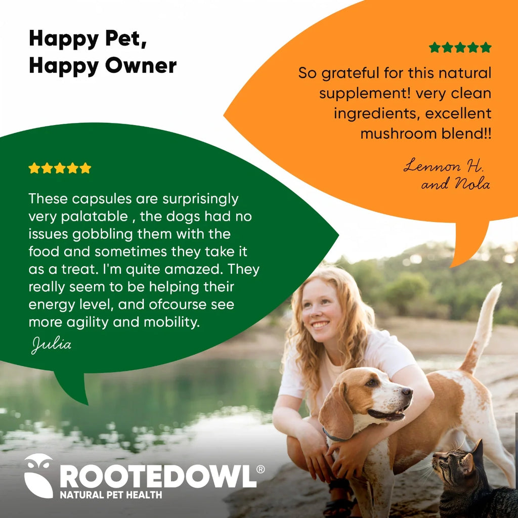 Rooted Owl Natural Immunity mushroom supplement for dogs and cats – photo 7 of 10