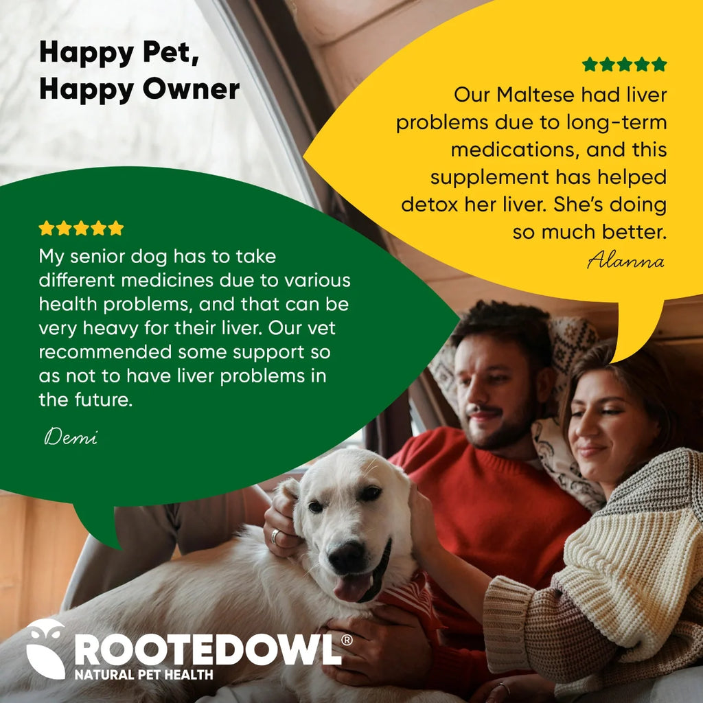 Rooted Owl Liver Support supplement for dogs with milk thistle – photo 7 of 9