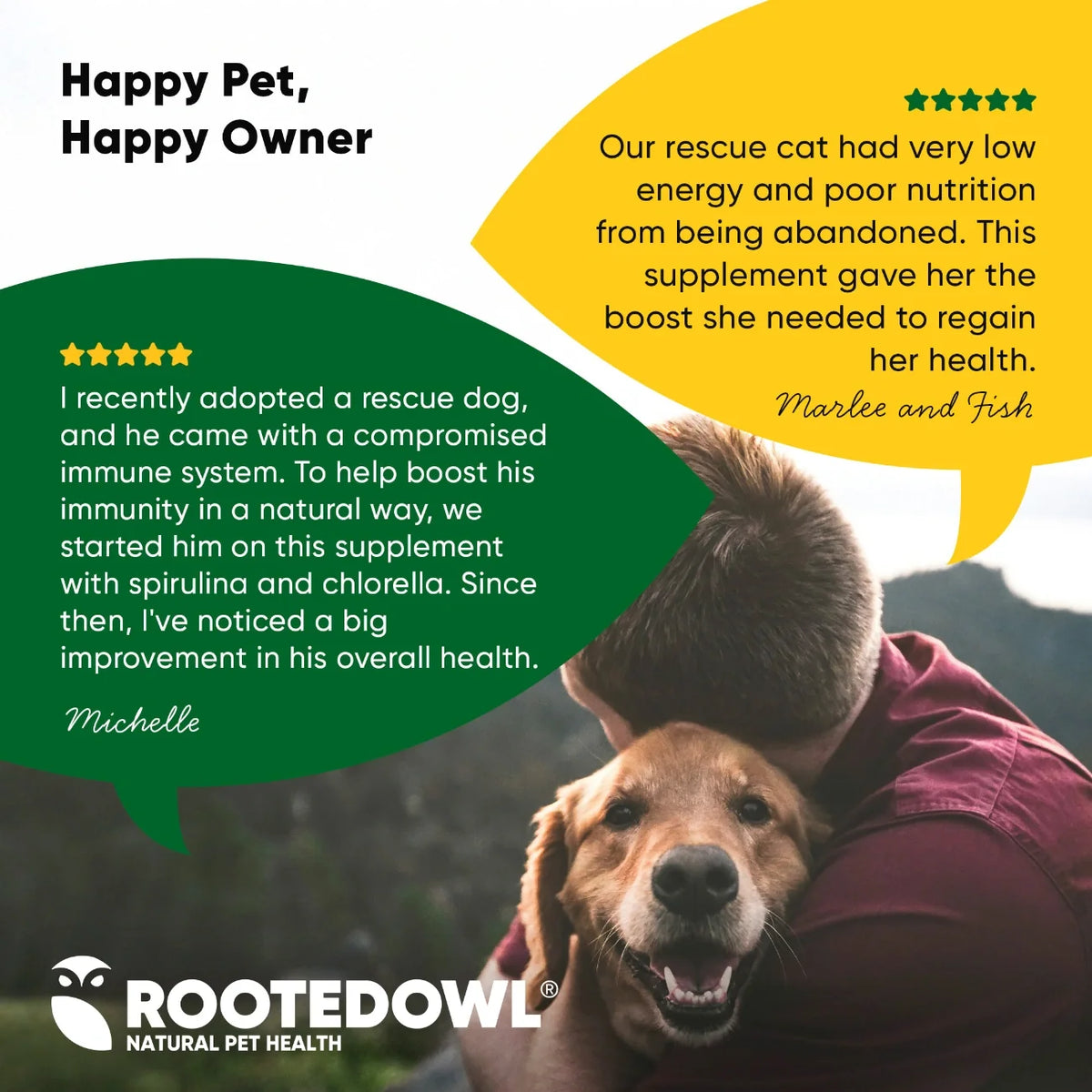 Rooted Owl Spirulina and Chlorella supplement capsules – photo 7 of 9