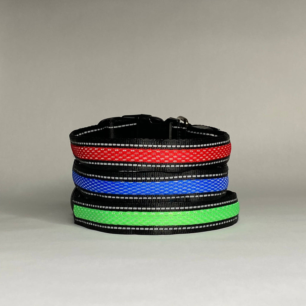 LED Dog Collar: Blue – alternate view 10