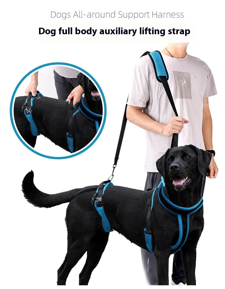 Dog Auxiliary Strap Polyester Hand-Holding Rope Blue – photo 6 of 6