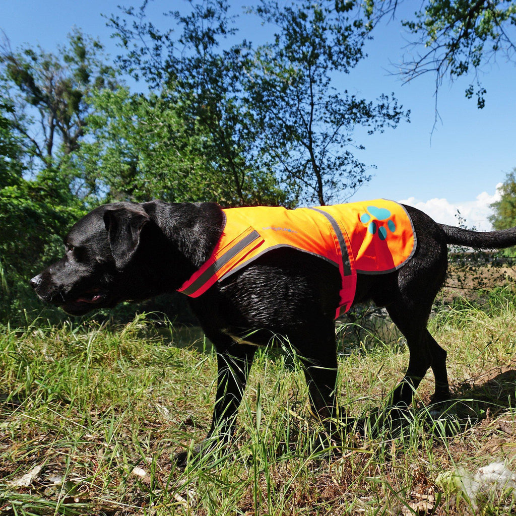 SafetyPUP Reflective Dog Vest XL Blaze Orange – photo 6 of 7