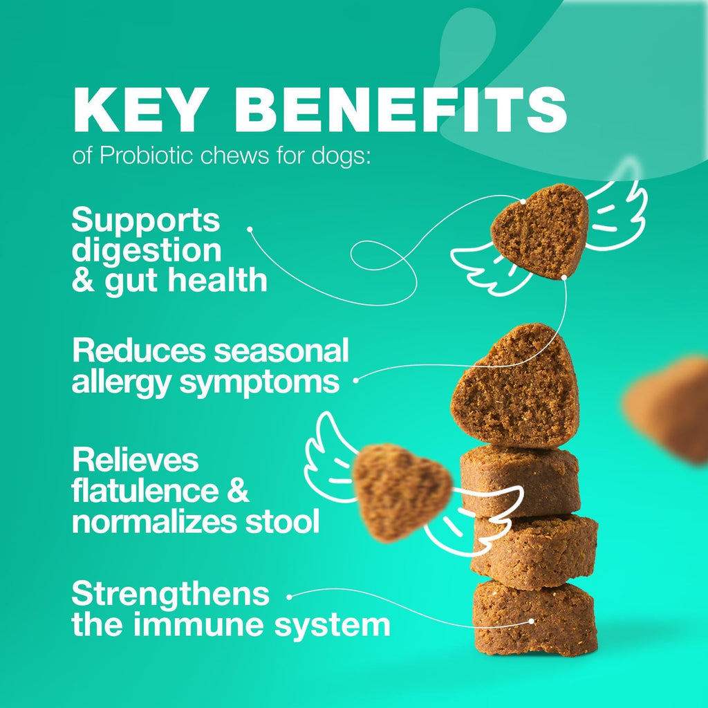 Probiotics for Dogs Digestive Support Pumpkin and Enzymes – photo 2 of 8