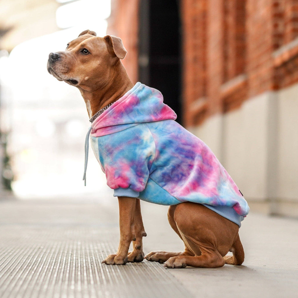 Velvet Dog Hoodie - Snow Cone – front view
