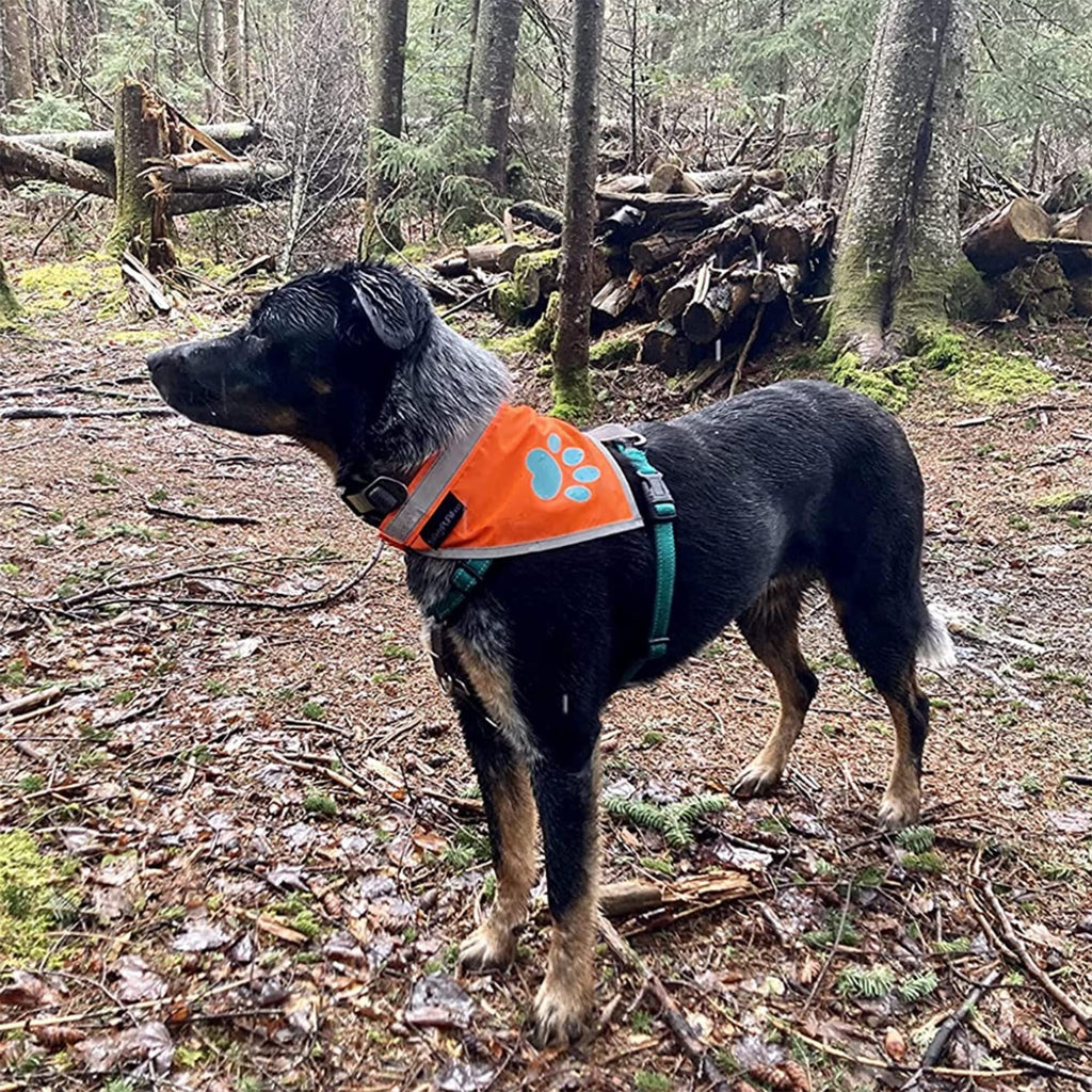 Reflective Dog Bandana Hi-Vis Blaze Orange Large – photo 4 of 5