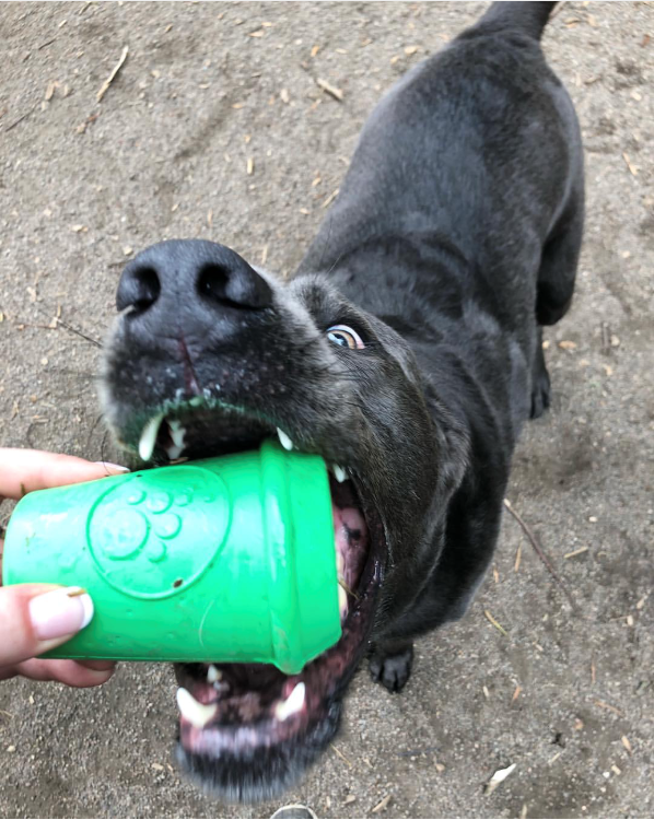 Coffee Cup Rubber Dog Chew Toy – Power Chewers, Treat Dispenser, USA Made – alternate view 7
