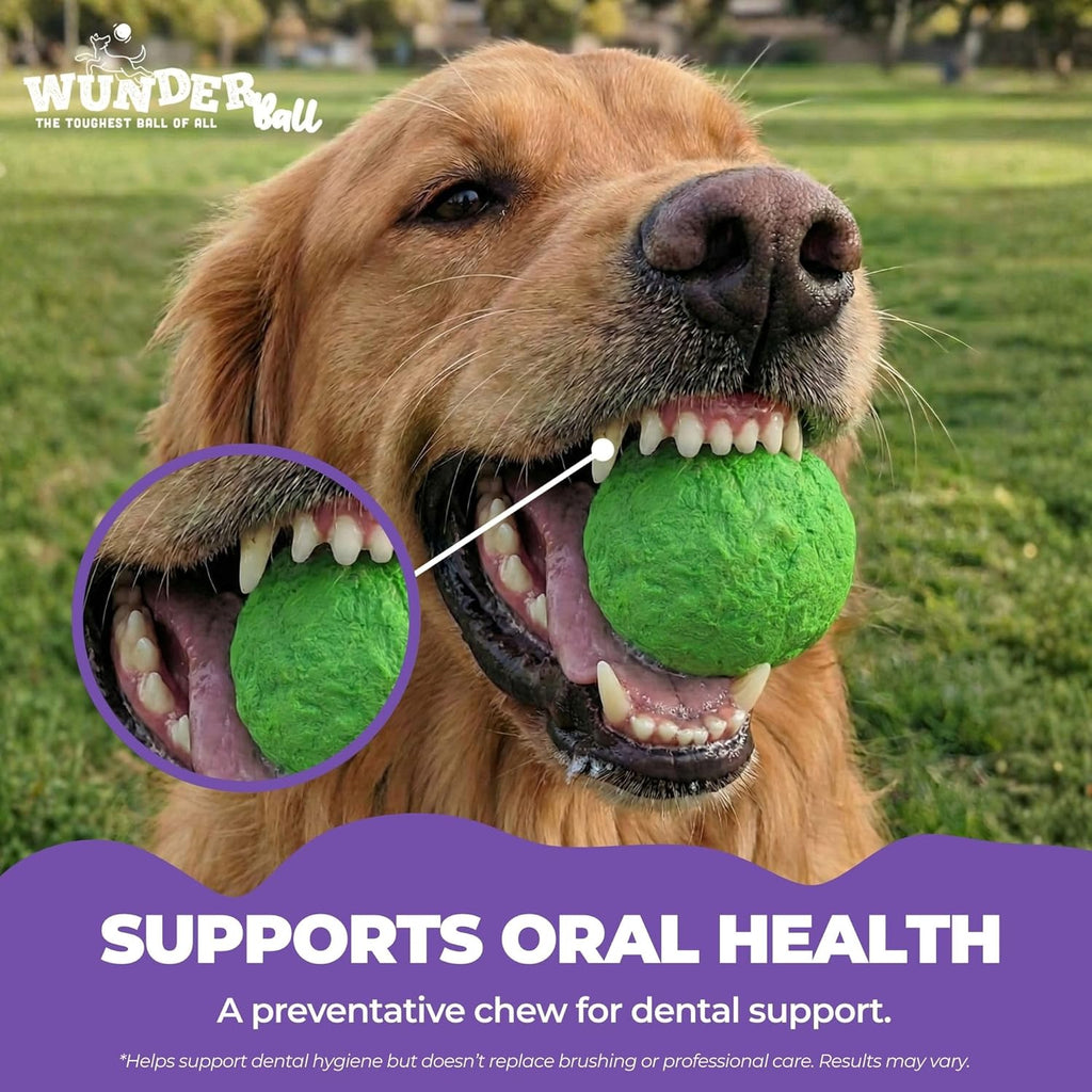 WUNDERball Dog Fetch Toy – alternate view 6