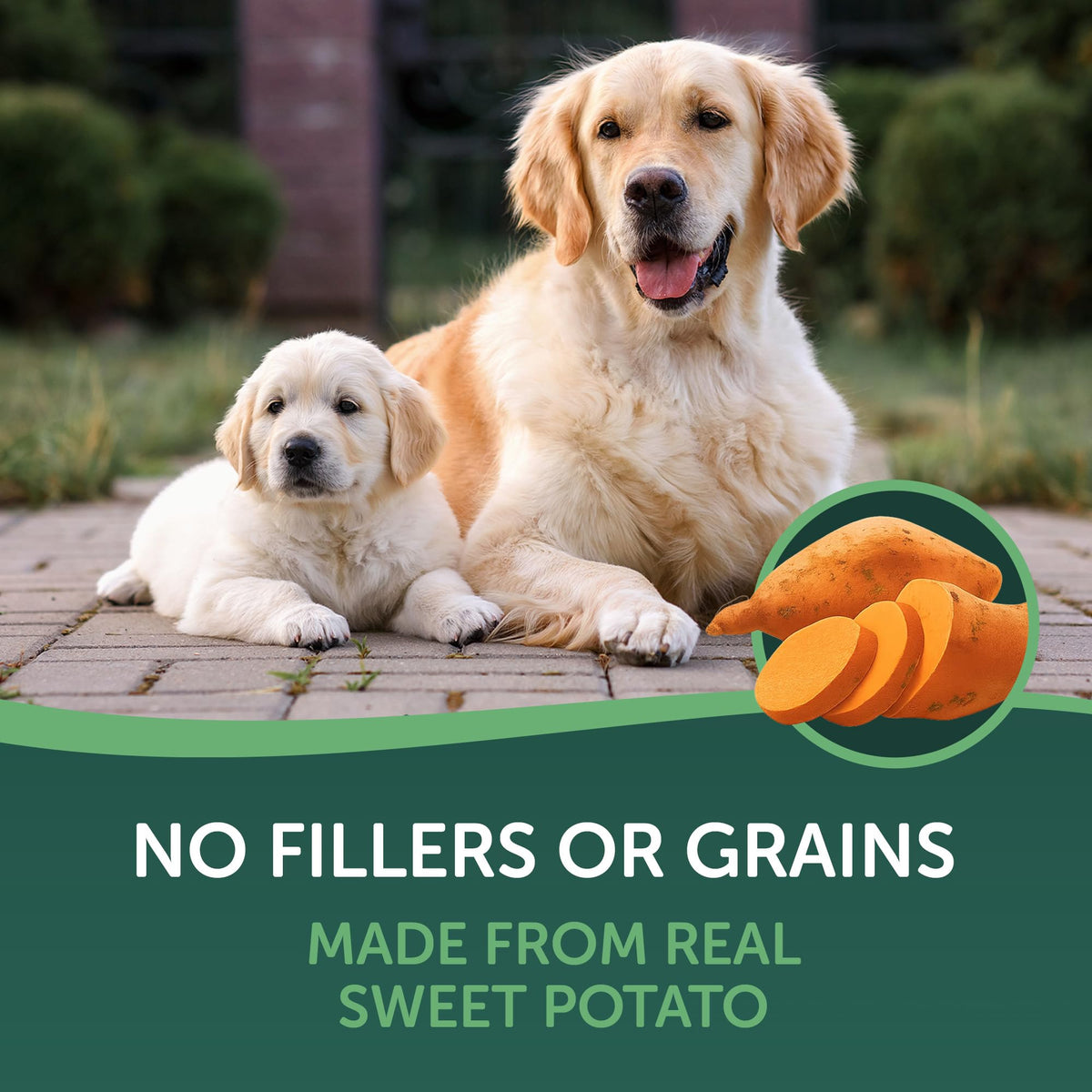 Healthfuls Sweet Potato Slices Dog Treats Grain Free, Limited Ingredient, 16 oz – photo 5 of 9