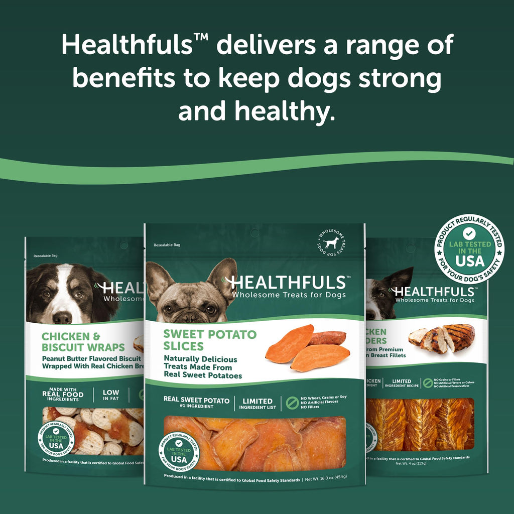 Healthfuls Sweet Potato Slices Dog Treats Grain Free, Limited Ingredient, 16 oz – photo 9 of 9