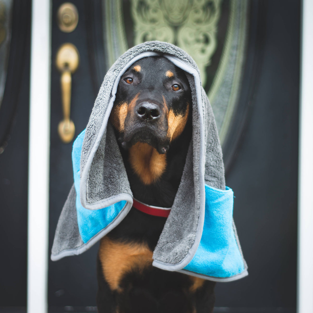 Messy Mutts Microfiber Towel – Cool Grey, Medium 20x32 – alternate view 4
