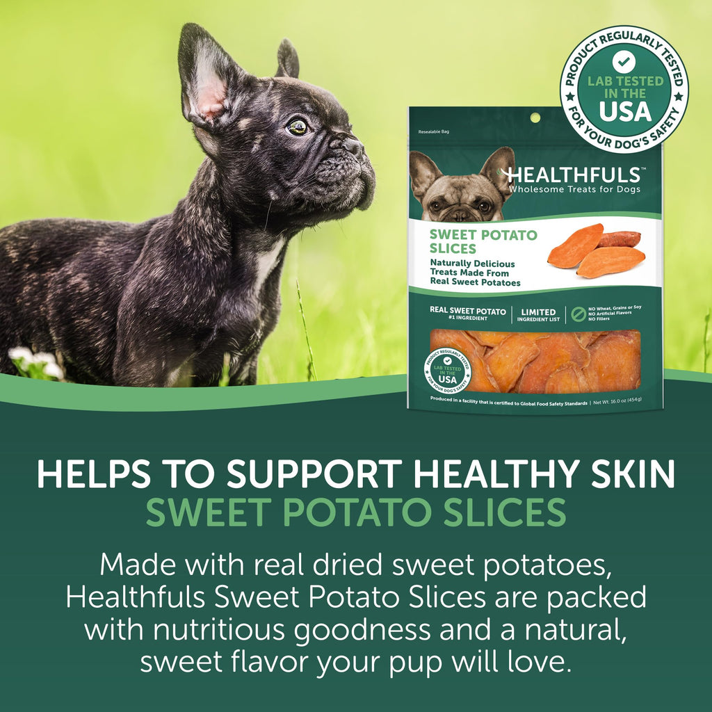 Healthfuls Sweet Potato Slices Dog Treats Grain Free, Limited Ingredient, 16 oz – photo 3 of 9