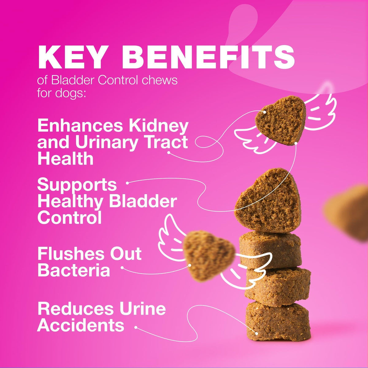 Cranberry bladder support chews for dogs – urinary tract and kidney health supplement – photo 3 of 9